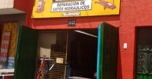 GATOS SOLO GATOS GATOS SOLO GATOS